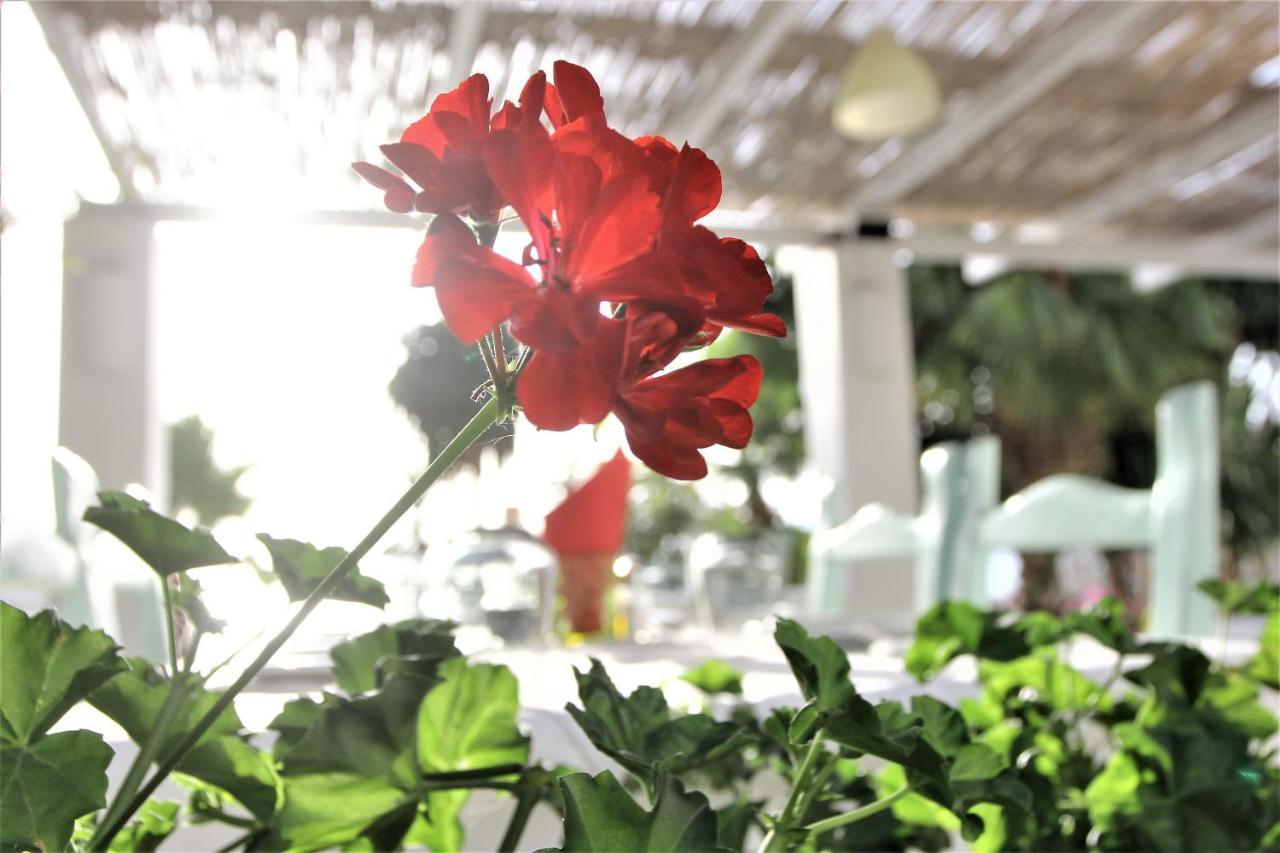 Saranda Hotel Экстерьер фото